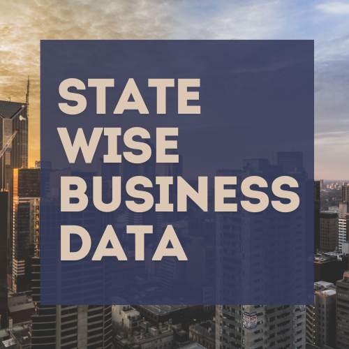 State Wise Business Data